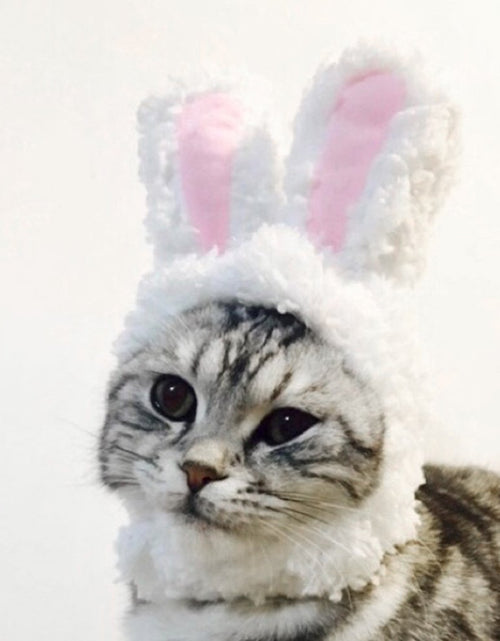 Load image into Gallery viewer, Cute Costume Bunny Rabbit Hat with Ears for Cats &amp; Small Dogs Party Costume Easter Pet Accessory Headwear
